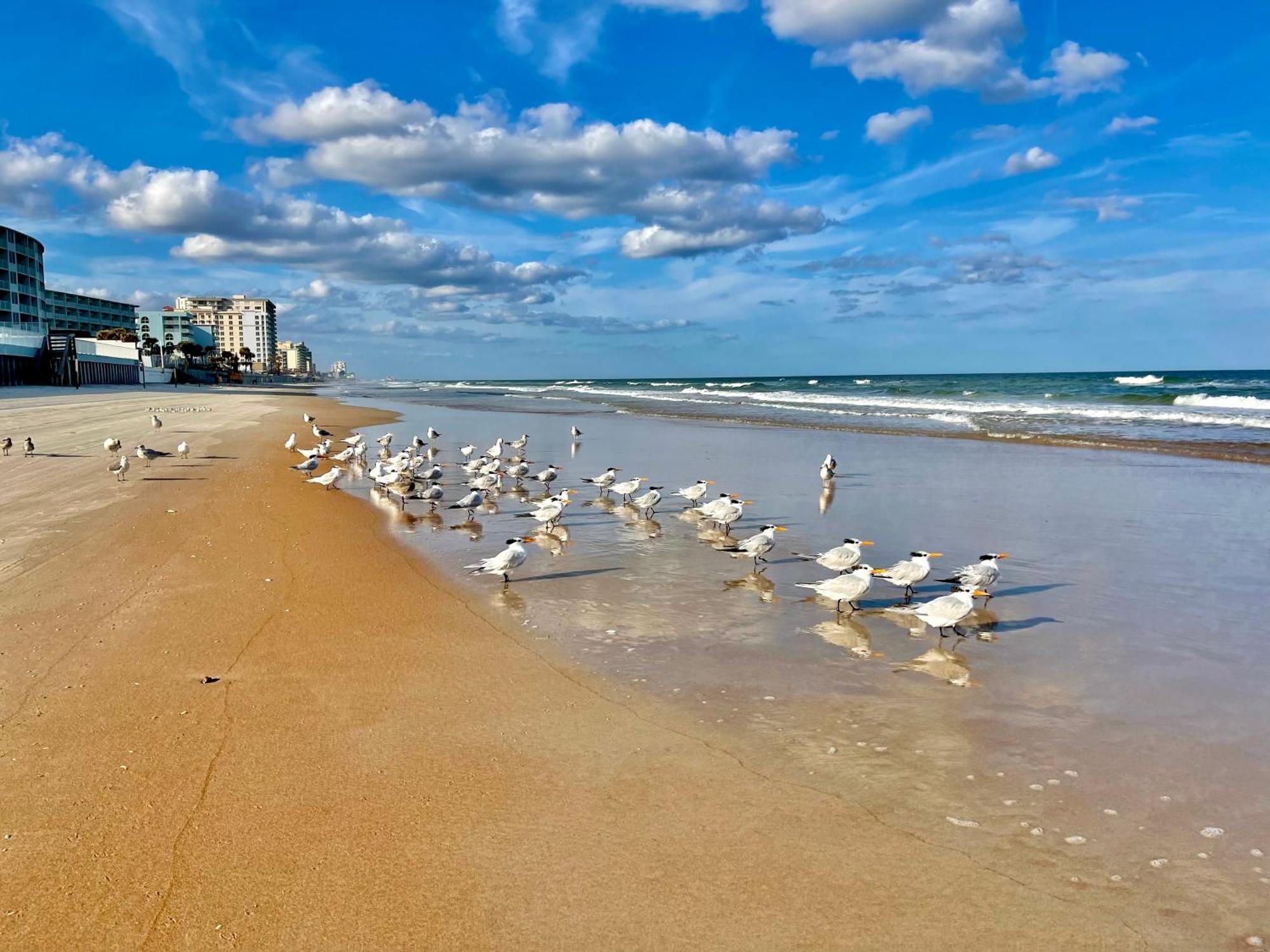 Sunset Studio Daytona Beachfront Zewnętrze zdjęcie